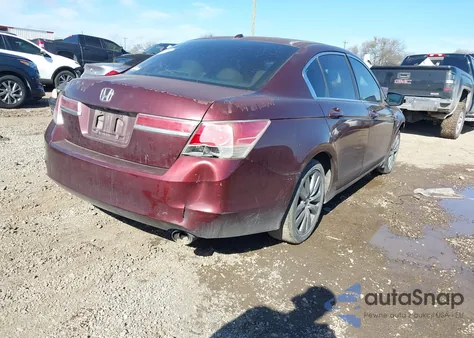 2011 Honda Accord 2.4 Ex-L из США, поврежденный, VIN 1HGCP2F8XBA126477